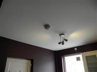 new ceiling