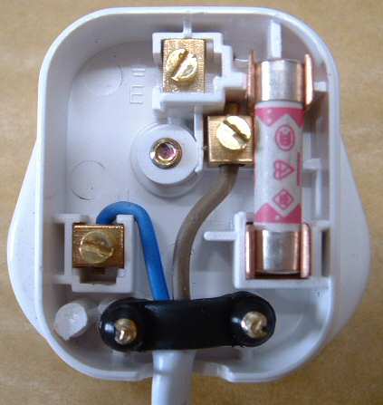 fuse in plug