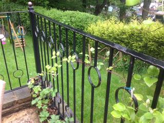 wrought iron railings