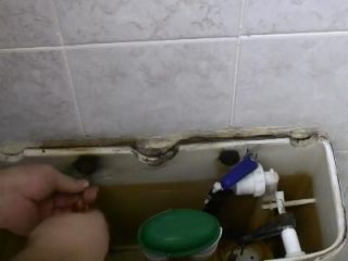 remove cistern screws