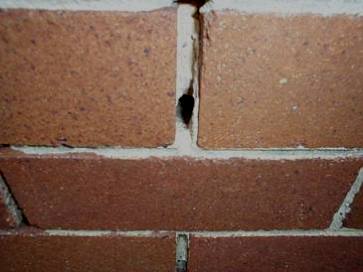 Damaged caused by masonry bees